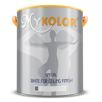  MYKOLOR SPECIAL WHITE FOR CEILING FINISH