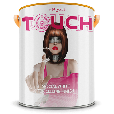 MYKOLOR TOUCH SPECIAL WHITE FOR CEILING FINISH